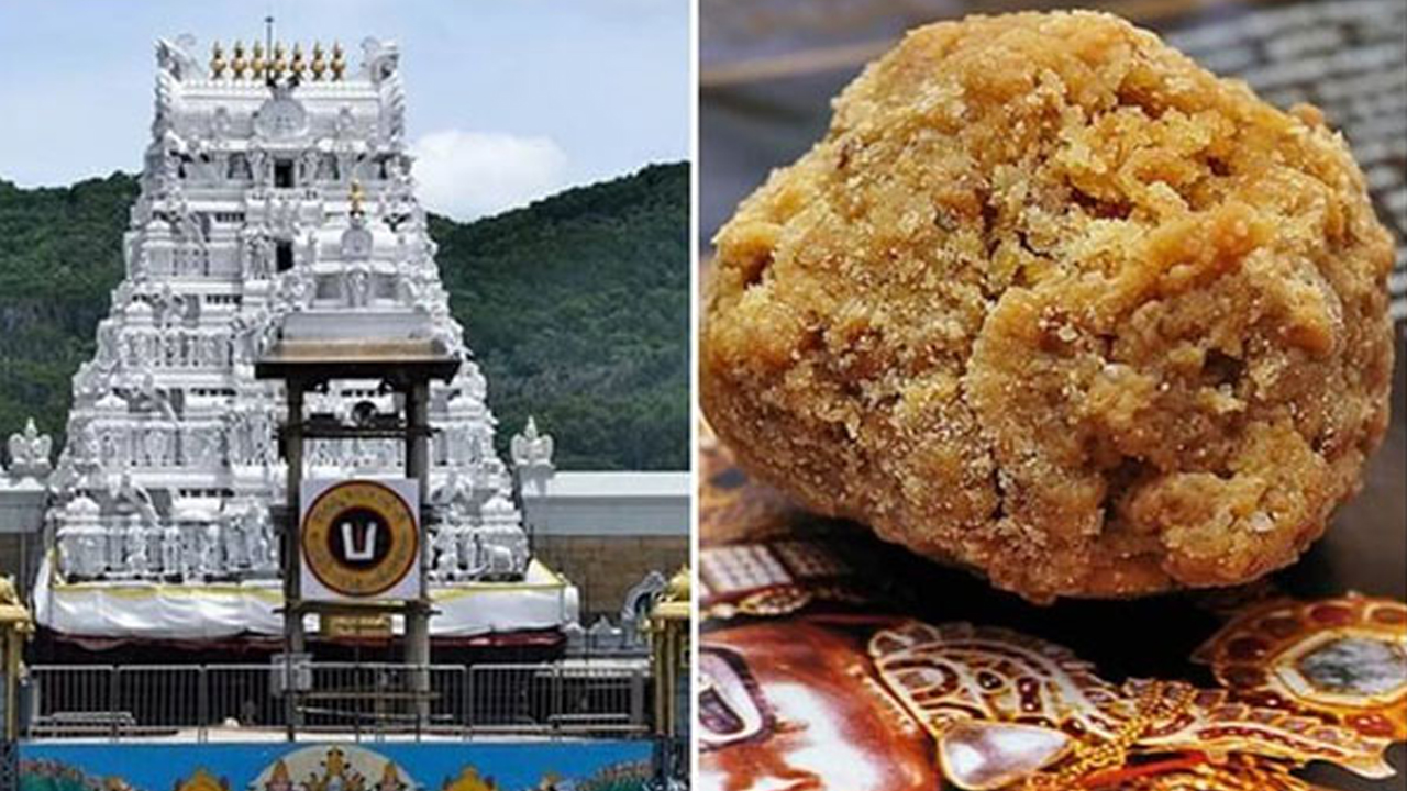 Tirumala Laddu Sales