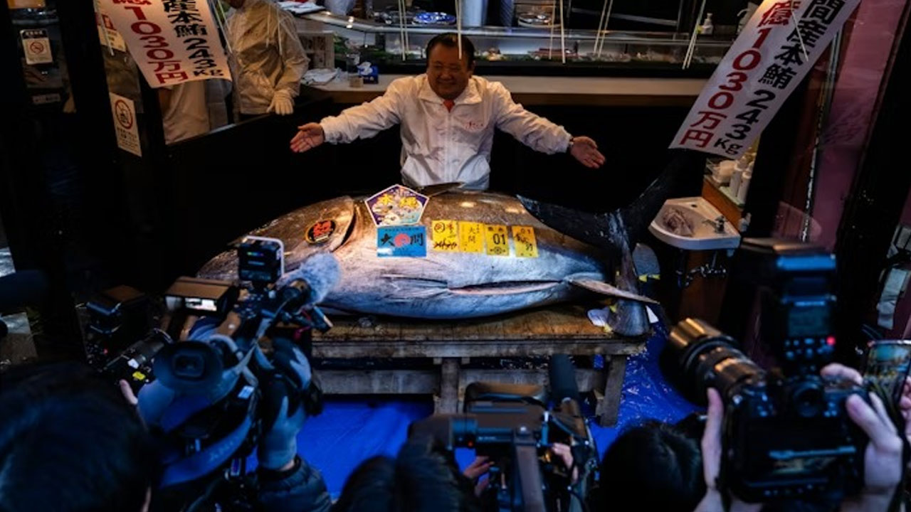 Bluefin Tuna Fish | చేప ధర రూ.29 కోట్లంట..! ప్రయోజనాలు తెలిస్తే షాకే మరి