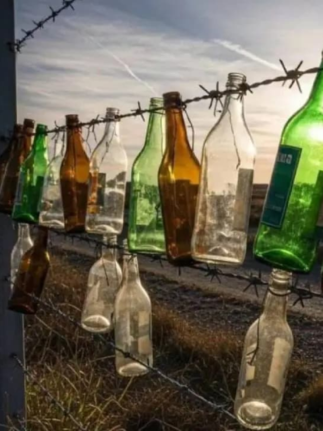 ఇండియా-పాకిస్థాన్ బార్డర్‌లో కంచెకు సీసాలు ఎందుకు వేలాడదీస్తారో తెలుసా? దీని వెనుక ఇంత సీక్రెట్ ఉందా!