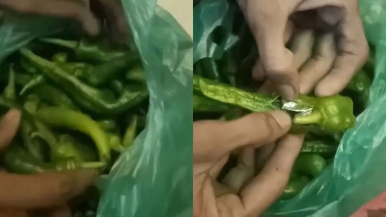 Drugs Smuggling  | జోధ్‌పూర్‌ టు హైదరాబాద్‌.. పచ్చిమిర్చిలో డ్రగ్స్‌ స్మగ్లింగ్‌.. షాకింగ్‌ వీడియో