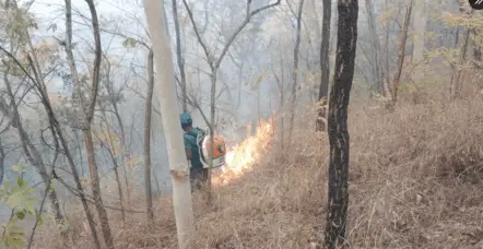 Nallamala forest fire| నల్లమలలో కార్చిచ్చు కలకలం