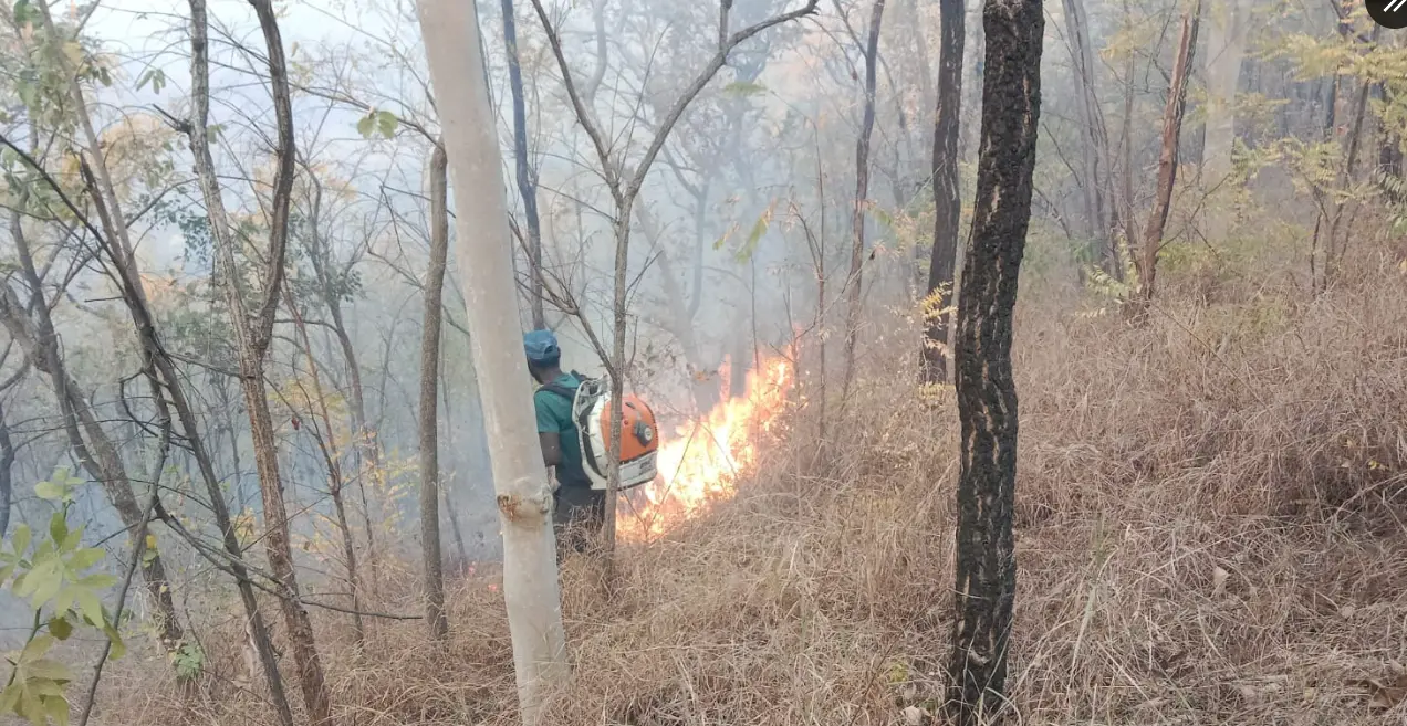Nallamala forest fire| నల్లమలలో కార్చిచ్చు కలకలం