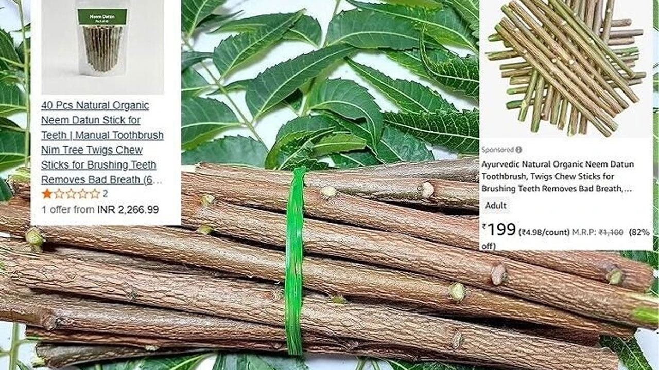 ayurvedic natural organic neem datun