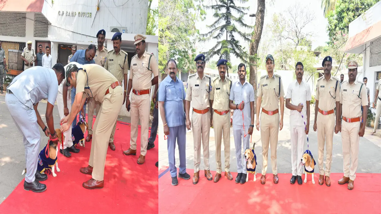 ప్రతిభ కబనబరిచిన పోలీసు జాగిలం భైరవ్ కి గోల్డ్ మెడల్ 
