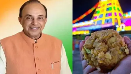 Supreme Court : కల్తీ నెయ్యి వివాదంలో సుప్రీంకోర్టులో ఏపీకి ఊరట!