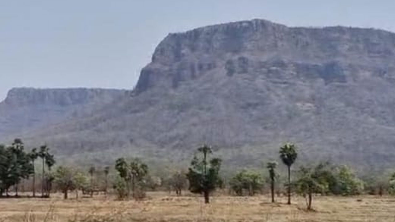 devji target karregutta combing operation