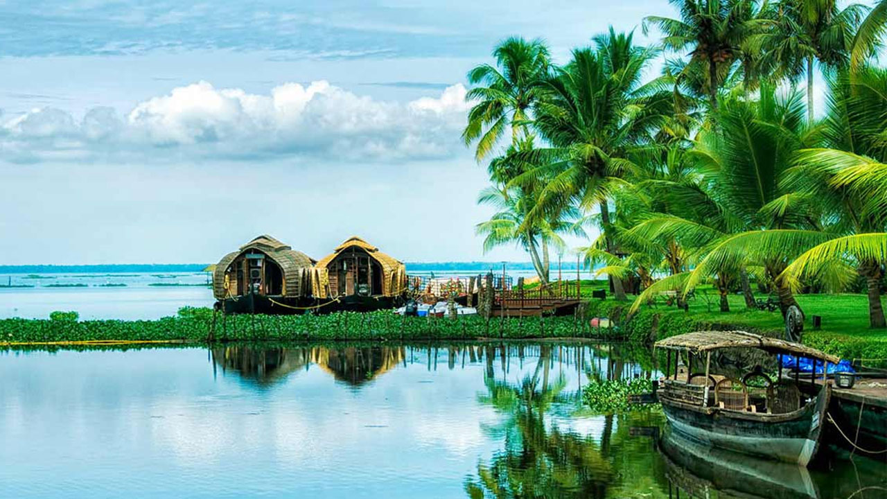 Operation Octopus: Hyderabad Police Bust ₹127 Crore Pan-India Cyber Fraud Network, 104 Arrested