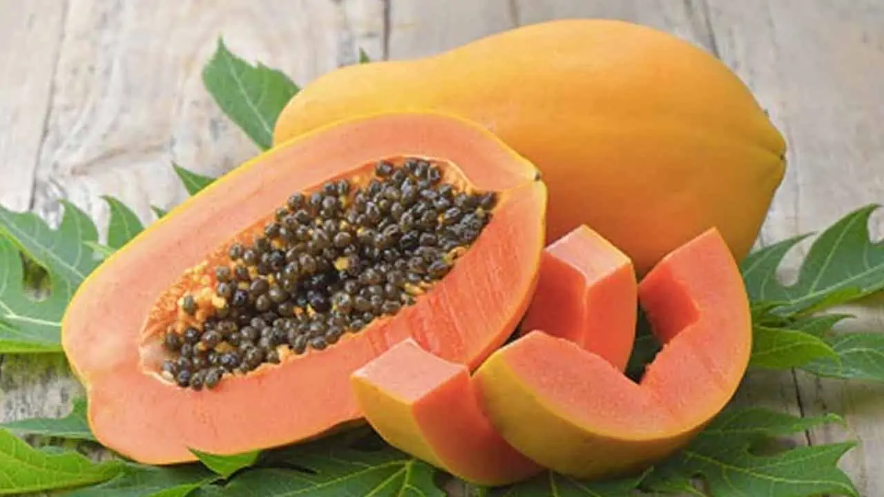 Papaya Benefits | బొప్పాయితో బోలెడు లాభాలు..! మ‌రి షుగ‌ర్ పేషెంట్లు తినొచ్చా..?