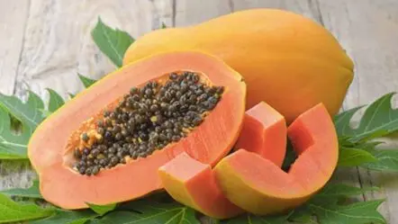 Papaya Benefits | బొప్పాయితో బోలెడు లాభాలు..! మ‌రి షుగ‌ర్ పేషెంట్లు తినొచ్చా..?