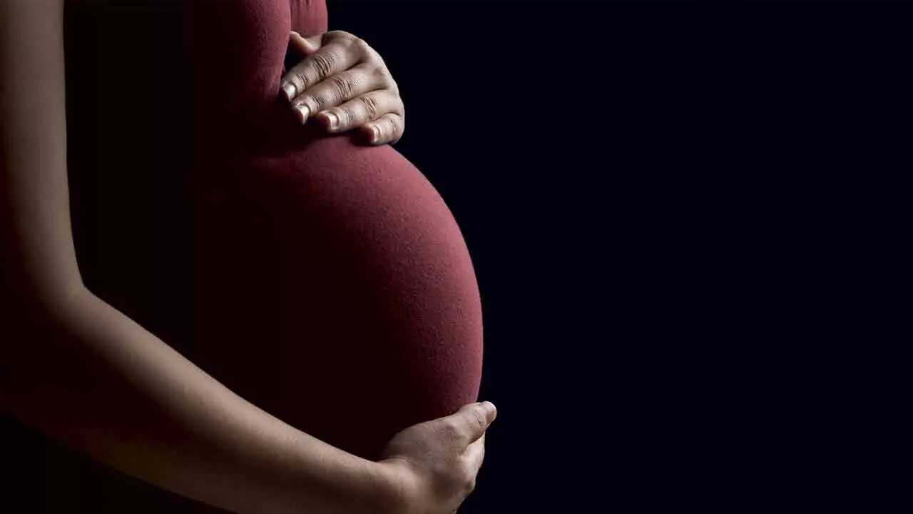 Pregnant Woman | క‌త్తితో పొత్తిక‌డుపు కోసుకున్న గ‌ర్భిణి.. నార్మ‌ల్ డెలివ‌రీ ద్వారా ఆడ‌బిడ్డ‌కు జ‌న్మ‌