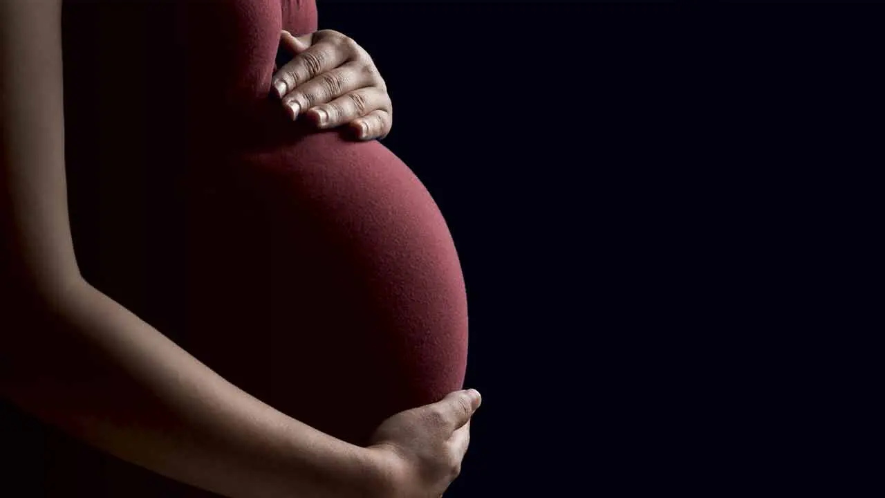 Pregnant Woman | క‌త్తితో పొత్తిక‌డుపు కోసుకున్న గ‌ర్భిణి.. నార్మ‌ల్ డెలివ‌రీ ద్వారా ఆడ‌బిడ్డ‌కు జ‌న్మ‌