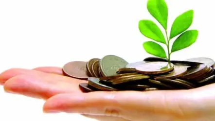 Savings Schemes | బ్యాంకు ఎఫ్‌డీల కంటే ఎక్కువ వ‌డ్డీ.. ఈ మూడు స్కీమ్స్ అద్భుతం