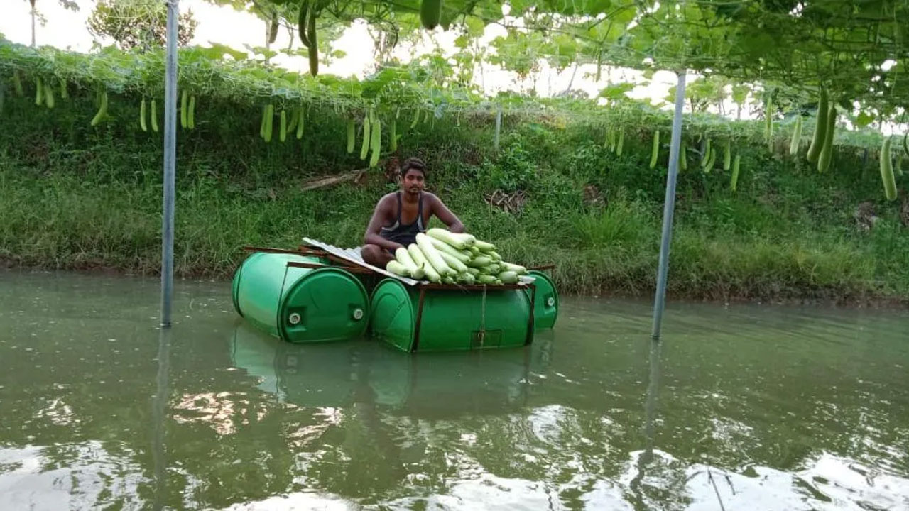 Farmer's Unique Model Helps Him Grow Vegetables Over Ponds