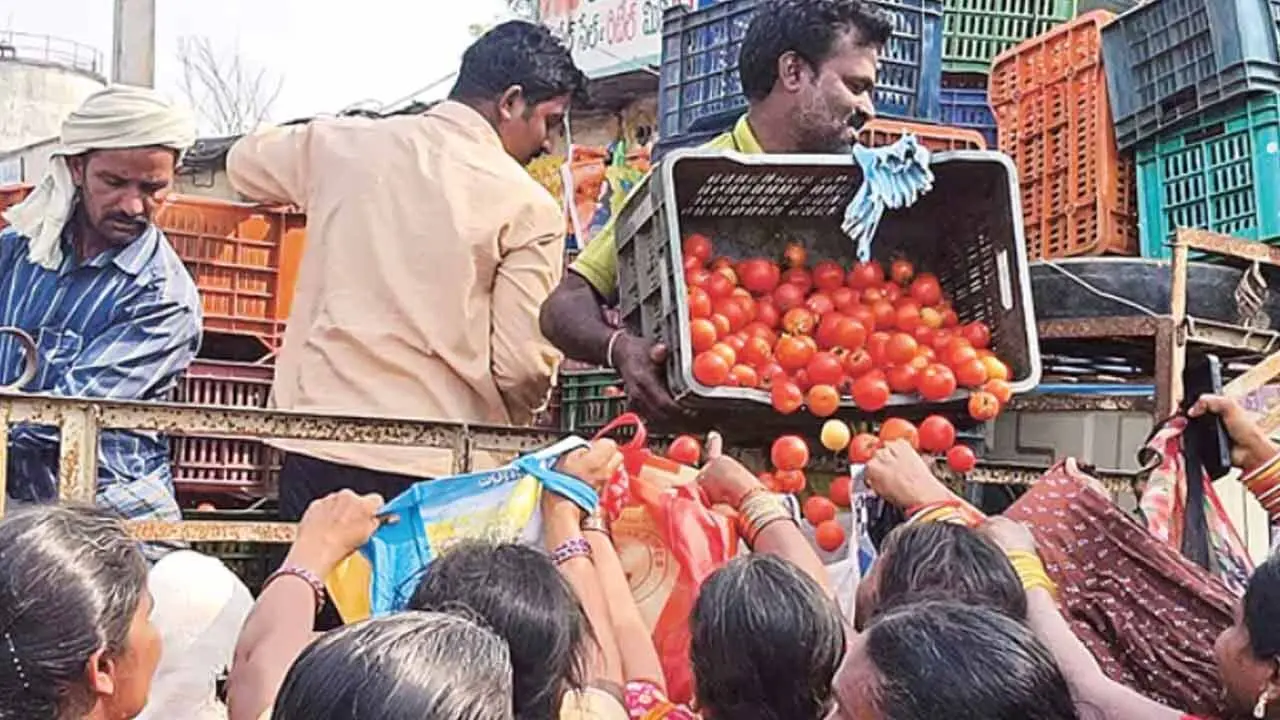 Tomato | తెలంగాణ‌లో మ‌హిళ‌ల‌కు ఉచితంగా ‘ట‌మాటా’ పంపిణీ..!
