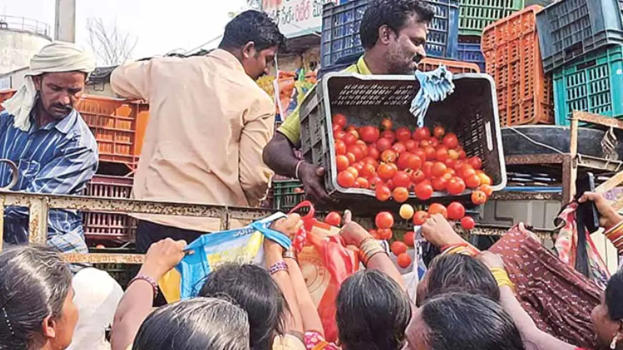 Tomato | తెలంగాణ‌లో మ‌హిళ‌ల‌కు ఉచితంగా ‘ట‌మాటా’ పంపిణీ..!