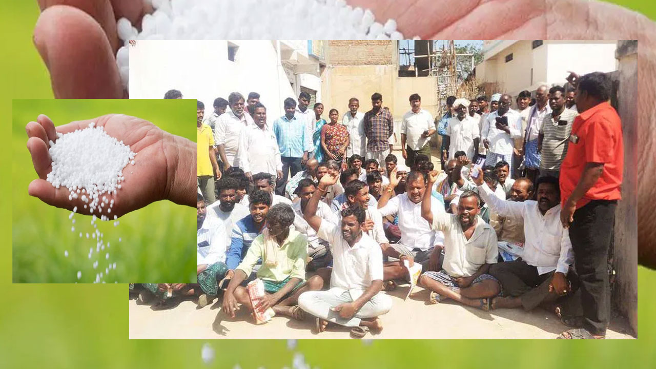 urea shortage farmers protest
