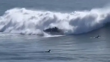 Rogue Waves | స్పీడ్ బోటును మింగేసిన రాకాసి అల‌.. షాకింగ్ వీడియో