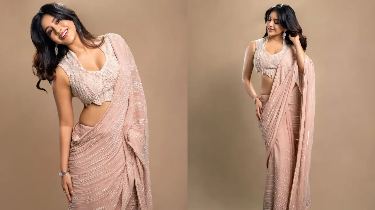 Nabha Natesh | సిల్క్ పింక్ చీరలో నభా నటేష్ అందాల జాతర