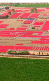 Guntur chilli drone video| సోషల్ మీడియాను షేక్ చేస్తున్న గుంటూరు కారం!