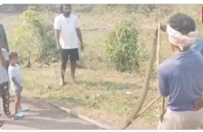 King Cobra India| అవగాహన లేక 15 అడుగుల కింగ్ కోబ్రాను కొట్టిచంపారు
