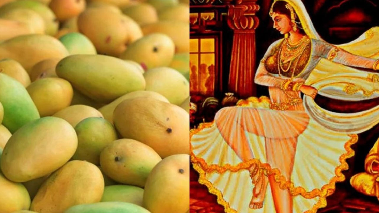 Amrapali Mango Story