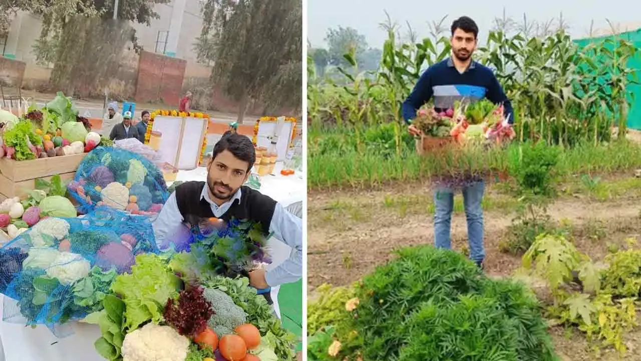 Vegetables Cultivation | నెల‌కు 3000 కిలోల కూర‌గాయ‌లు పండిస్తున్న యువ రైతు.. ఆదాయం రూ. 2 ల‌క్ష‌ల‌కు పైనే..