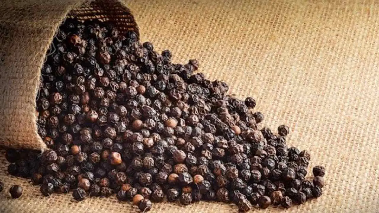 Black pepper | దుష్టశక్తులను మిరియాలు దూరం చేస్తాయా? పండితులేమంటున్నారు?