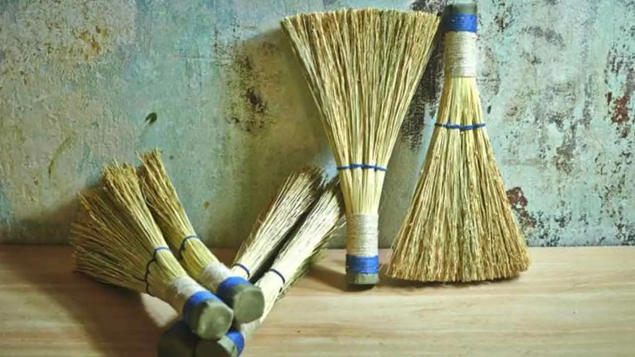 Broom | చీపురును ఈ దిశ‌లో ఉంచండి..! అష్టైశ్వ‌రాలు పొందండి..!!