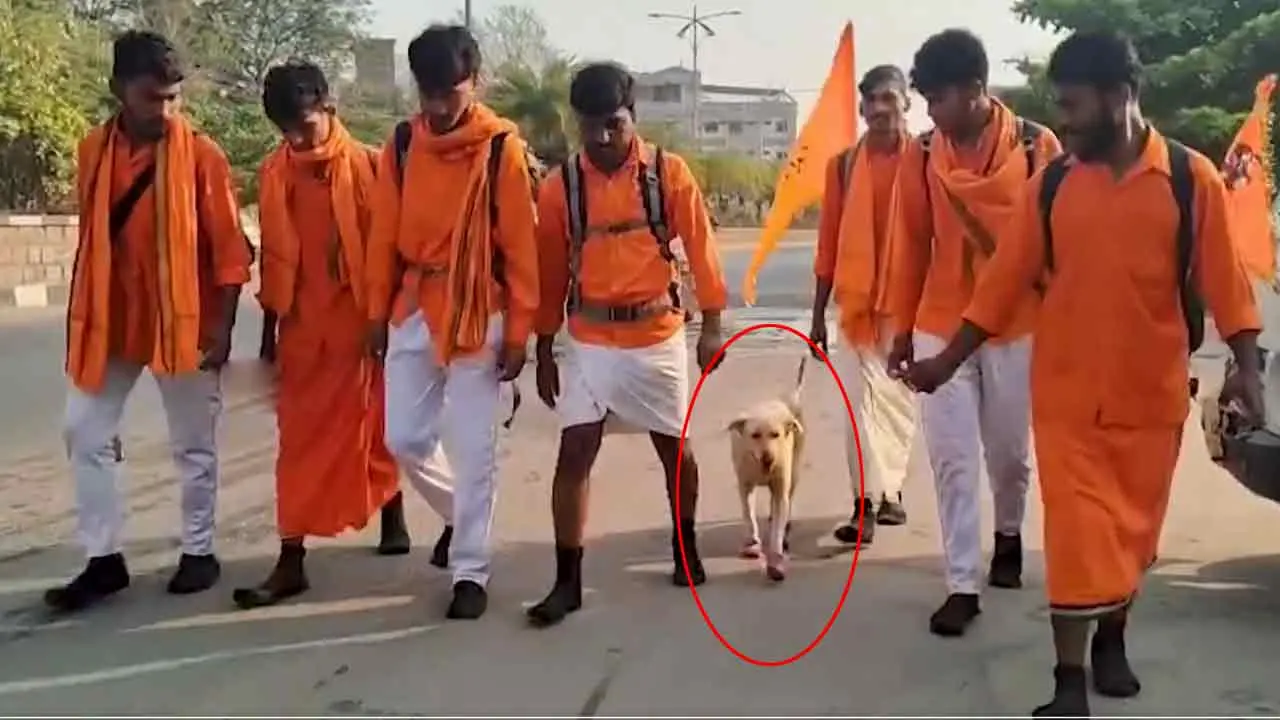 Adilabad | విశ్వాసం అంటే ఇదేనేమో..! 130 కి.మీ. పాద‌యాత్ర చేసిన శున‌కం..!!