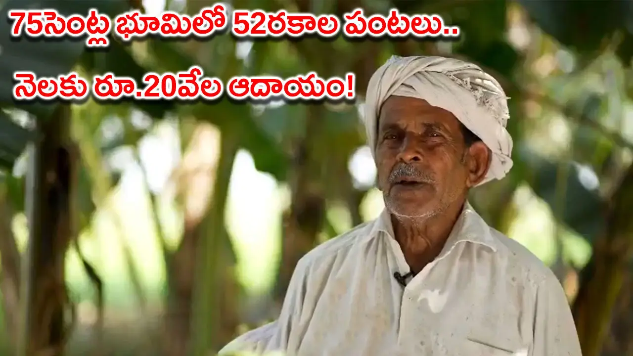 Guntur Farmer Roshaiah : 75సెంట్ల భూమిలో 52రకాల పంటలు.. నెలకు రూ.20వేల ఆదాయం!