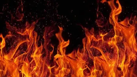 Hyderabad | సోమాజిగూడ‌లో భారీ అగ్నిప్ర‌మాదం.. వైన్ షాపు ద‌గ్ధం