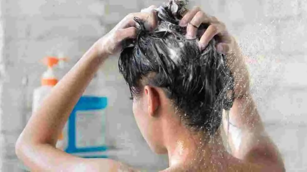 Hair Care | వారానికి ఎన్నిసార్లు తలస్నానం చేస్తే మంచిది? జుట్టు రకాన్ని బట్టి నిపుణులు చెబుతున్న సూచన ఇదే..!