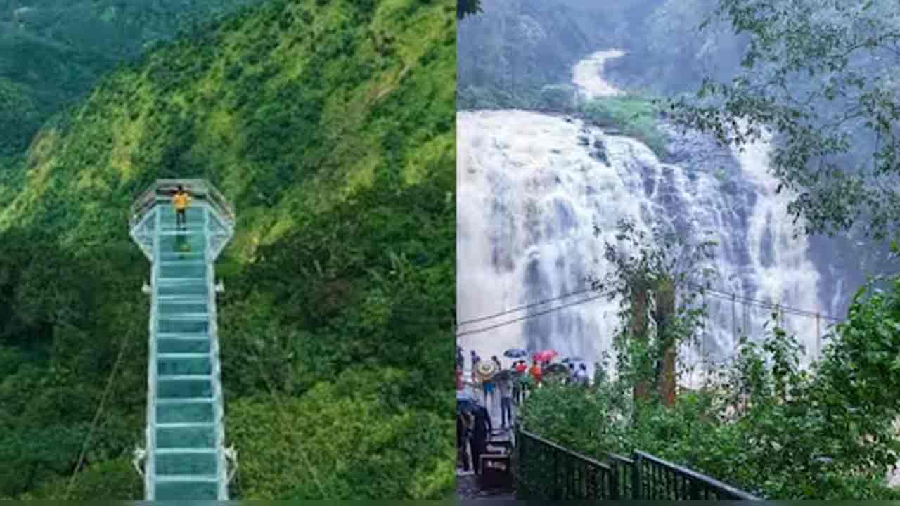 IRCTC coffee with Karnataka tour package Mysore palace Coorg tourism