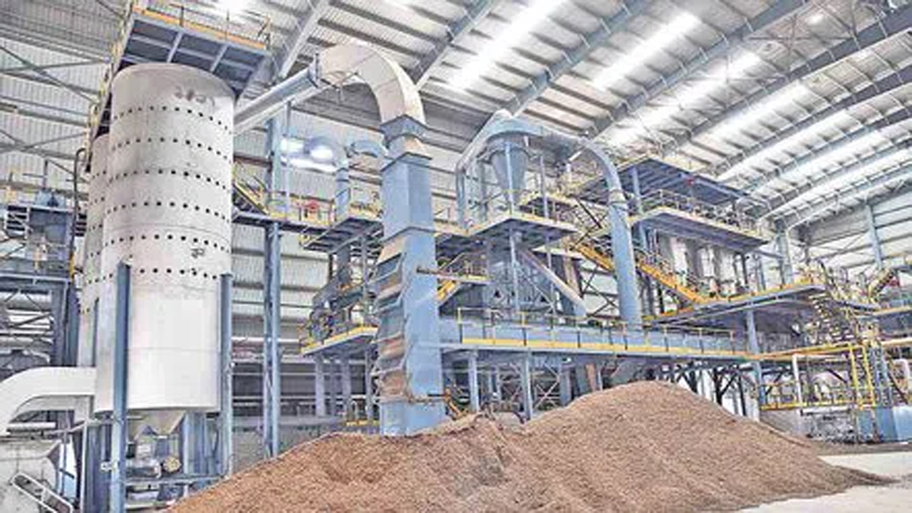 Narmetta Oil Plam Factory