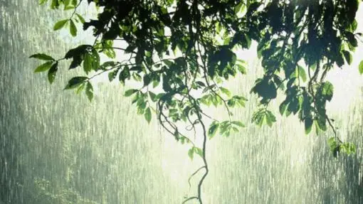 Rain Alert | ఇక ఉక్క‌పోత‌కు ఉప‌శ‌మ‌నం.. రేప‌ట్నుంచి వ‌ర్షాలు..!