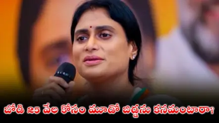 YS Sharmila : బోడి 25 వేల కోసం మూడో బిడ్డను కనమంటారా?
