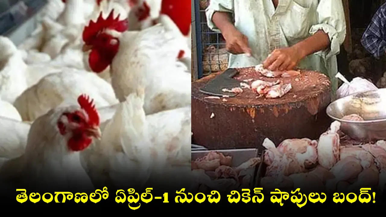 Chicken Shops Close : తెలంగాణలో ఏప్రిల్-1 నుంచి చికెన్ షాపులు బంద్!
