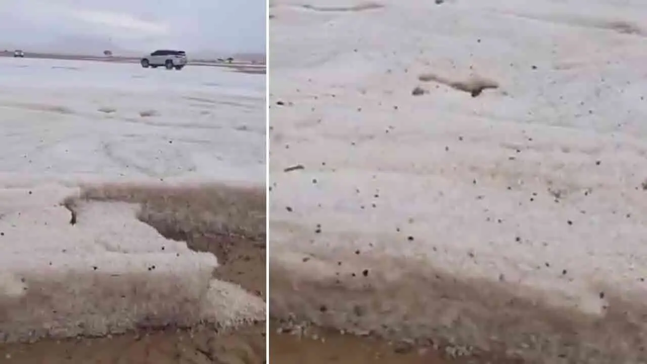 Snow in Desert | ఎడారి దేశంలో మంచు తుపాన్.. UAEలో వడగండ్ల వానలతో ఆశ్చర్యంలో ప్రజలు!