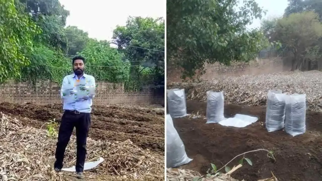 Vermicompost Business | వ‌ర్మీకంపోస్టు త‌యారీ.. రూ. 20 వేల పెట్టుబ‌డితో ఏడాదికి రూ. 2 కోట్ల ట‌ర్నోవ‌ర్