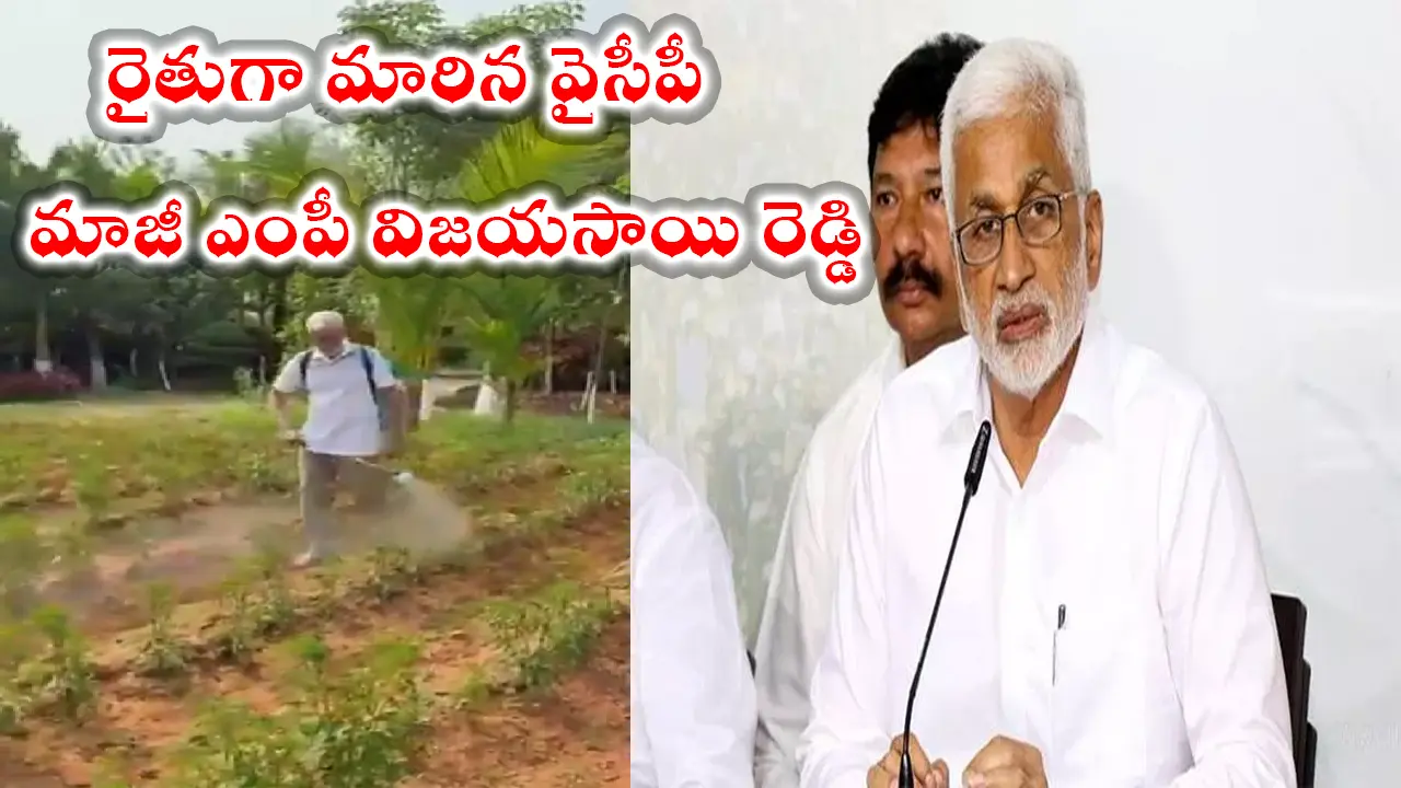 Vijayasai Reddy Farm | రైతుగా మారిన వైసీపీ మాజీ ఎంపీ విజయసాయి రెడ్డి