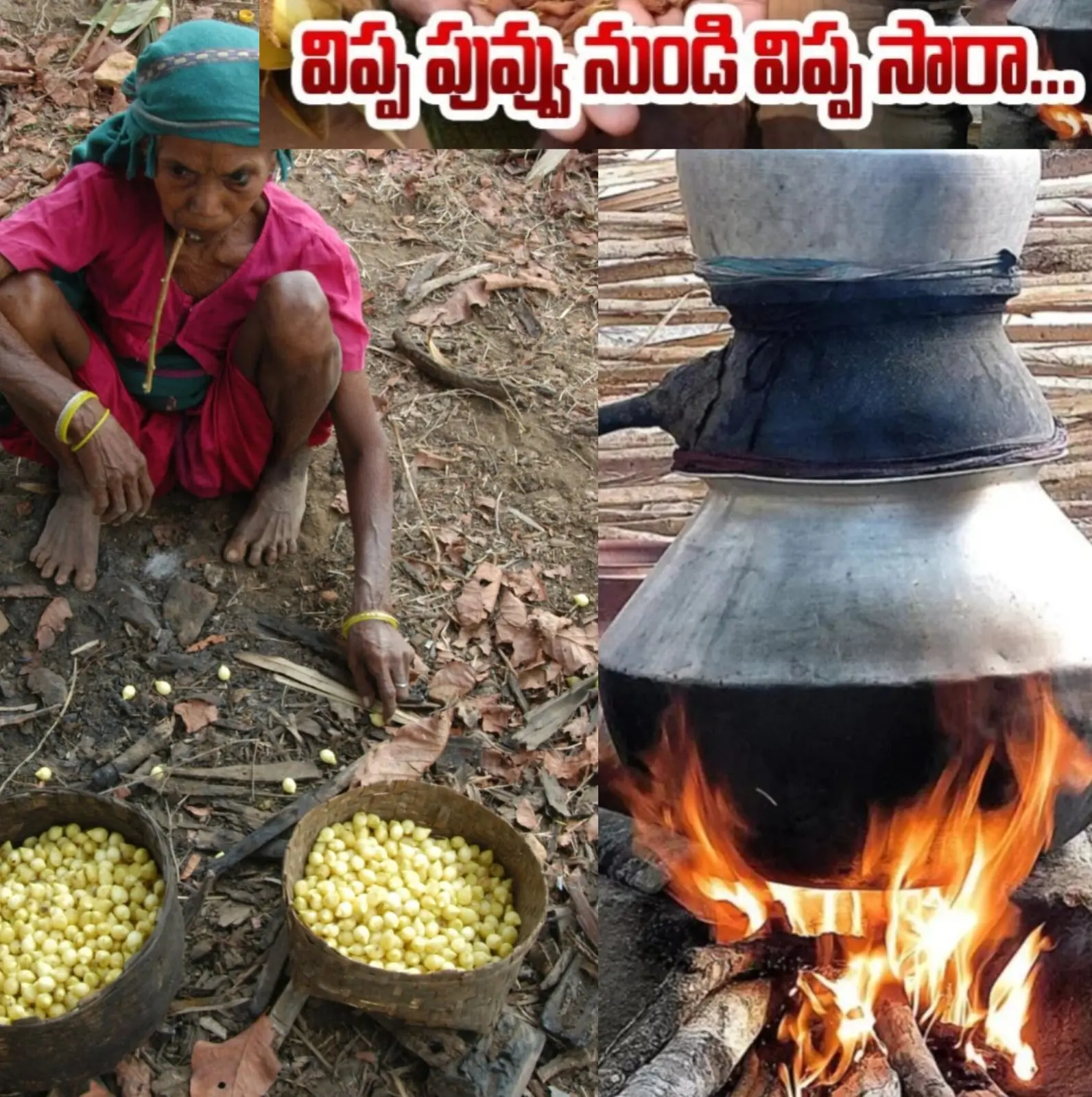 Vippa Flower Liquor| తెలంగాణలో సారా వర్సెస్ నీరా!..విప్పపువ్వు సారా వచ్చేనా?