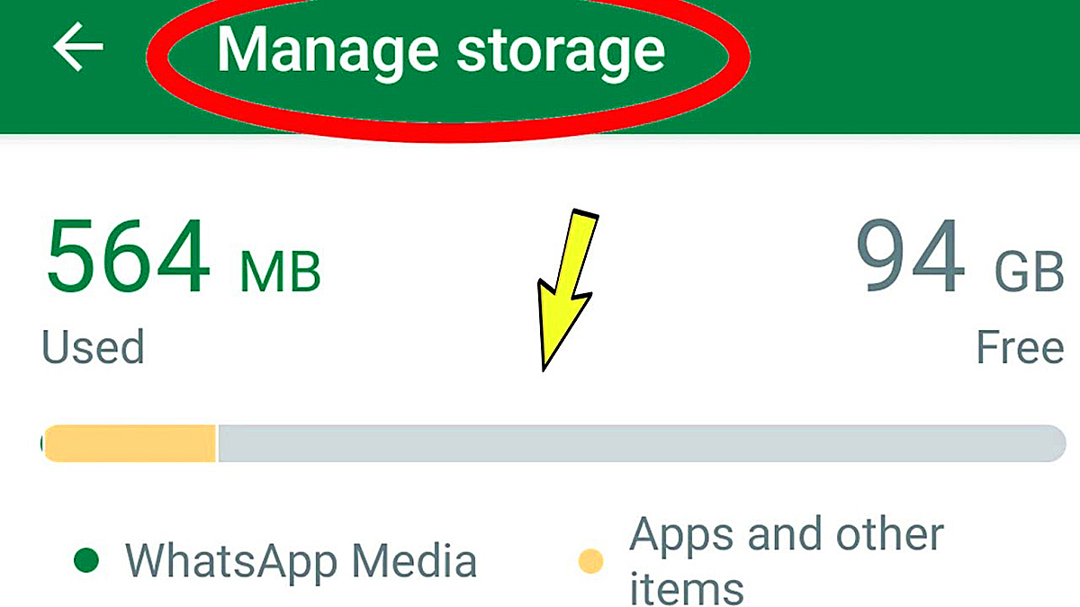 WhatsApp manage storage option showing used and free space with media cleanup