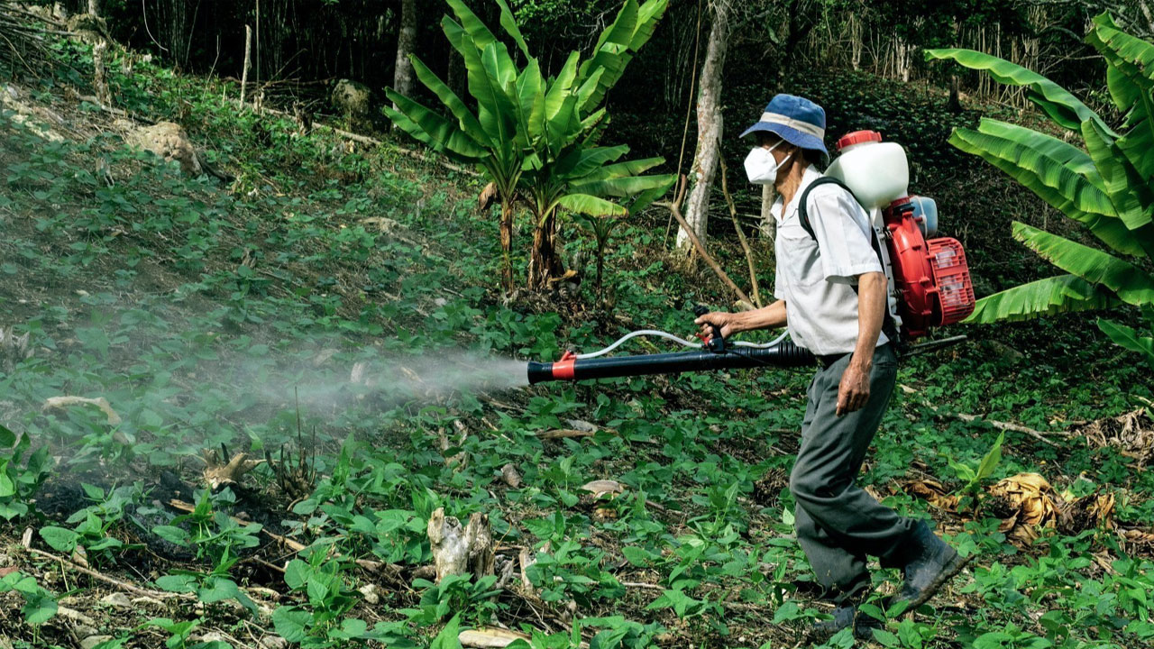Telangana Ban Weedicides Sales