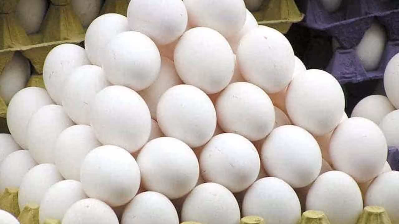 Egg Prices | కొండెక్కిన ‘కోడి గుడ్ల’ ధ‌ర‌లు.. ఆందోళ‌న‌లో సామాన్యులు..
