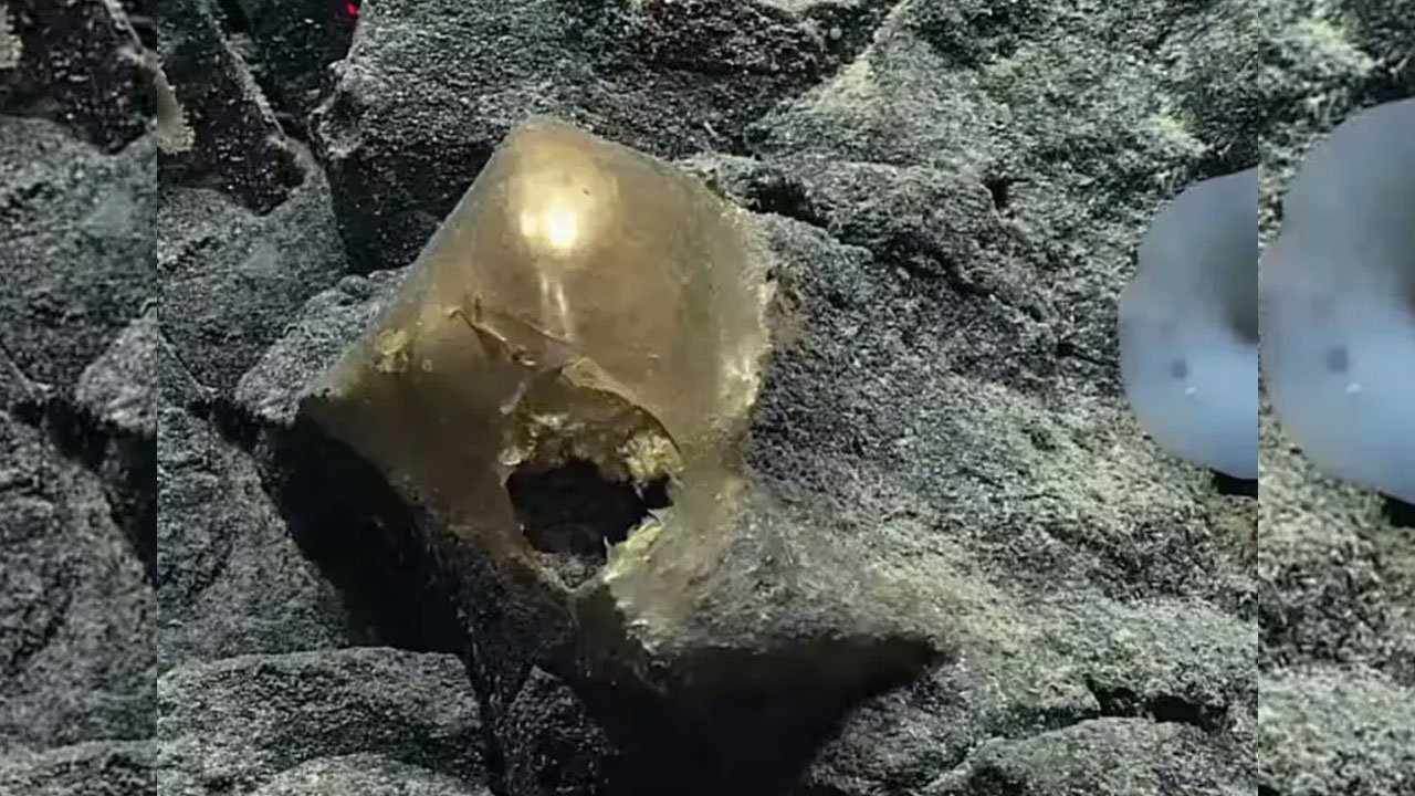 alaska-golden-orb-truth