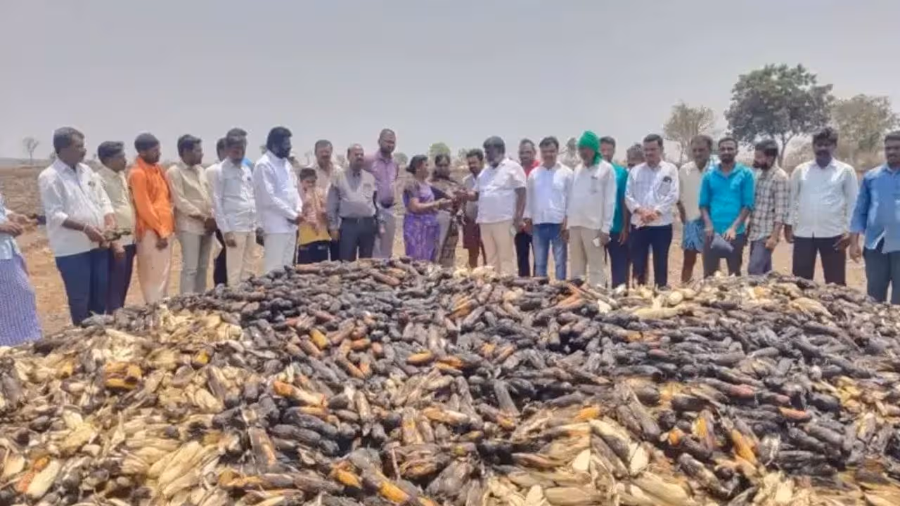 అన్నదాత వేదన.. గుండెలను పిండేసే దృశ్యం వైరల్