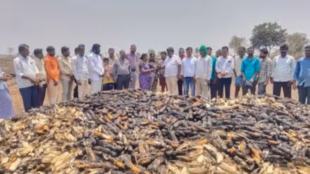 అన్నదాత వేదన.. గుండెలను పిండేసే దృశ్యం వైరల్