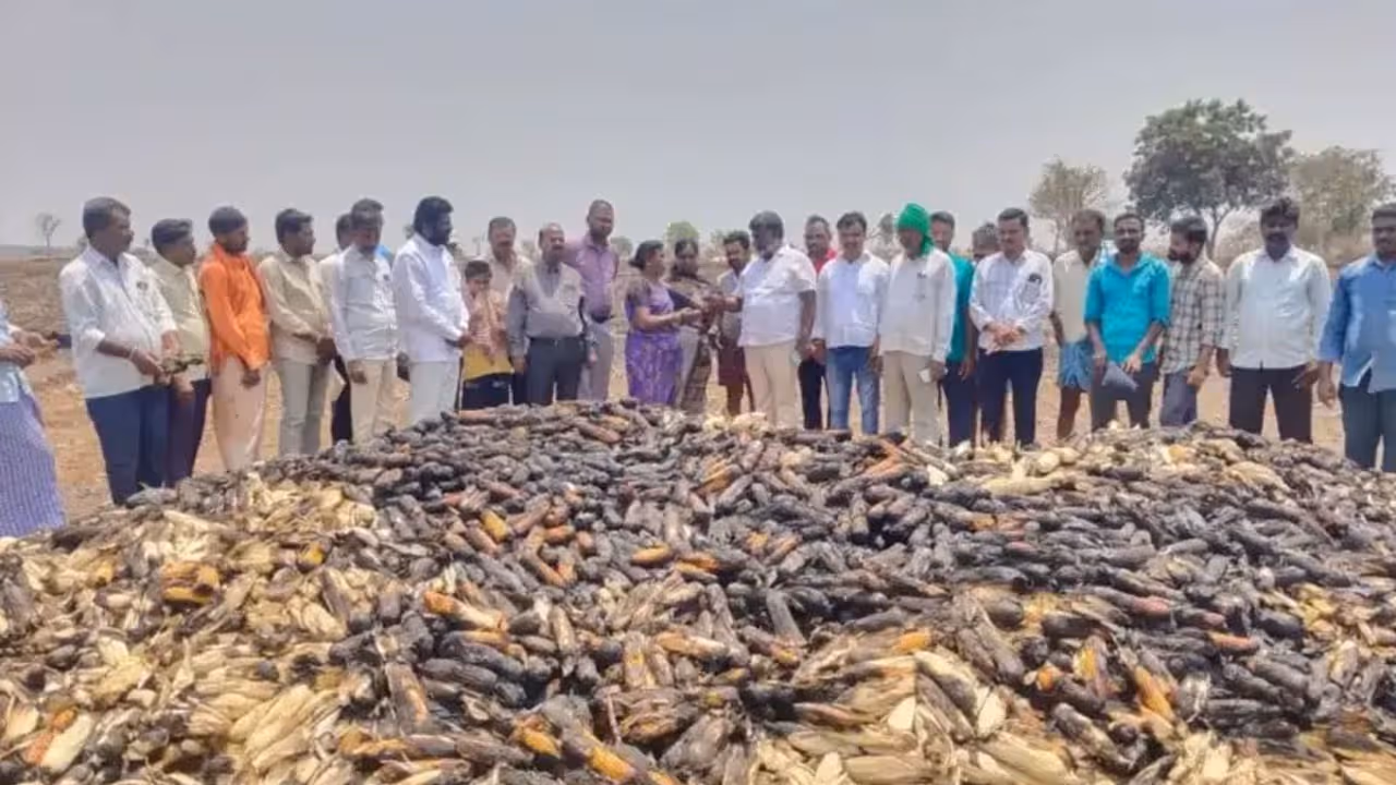 అన్నదాత వేదన.. గుండెలను పిండేసే దృశ్యం వైరల్