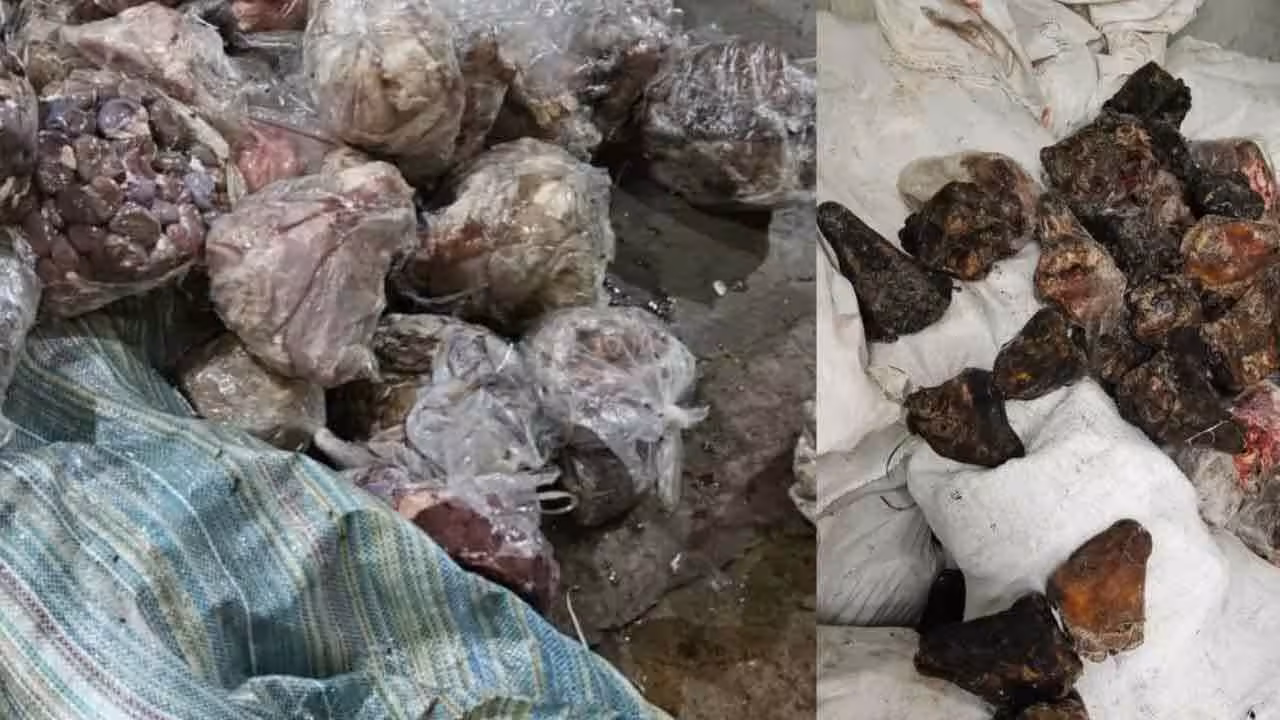 Decomposed Meat | హైద‌రాబాద్‌లో ఘోరం.. 14 ట‌న్నుల కుళ్లిన మాంసం సీజ్