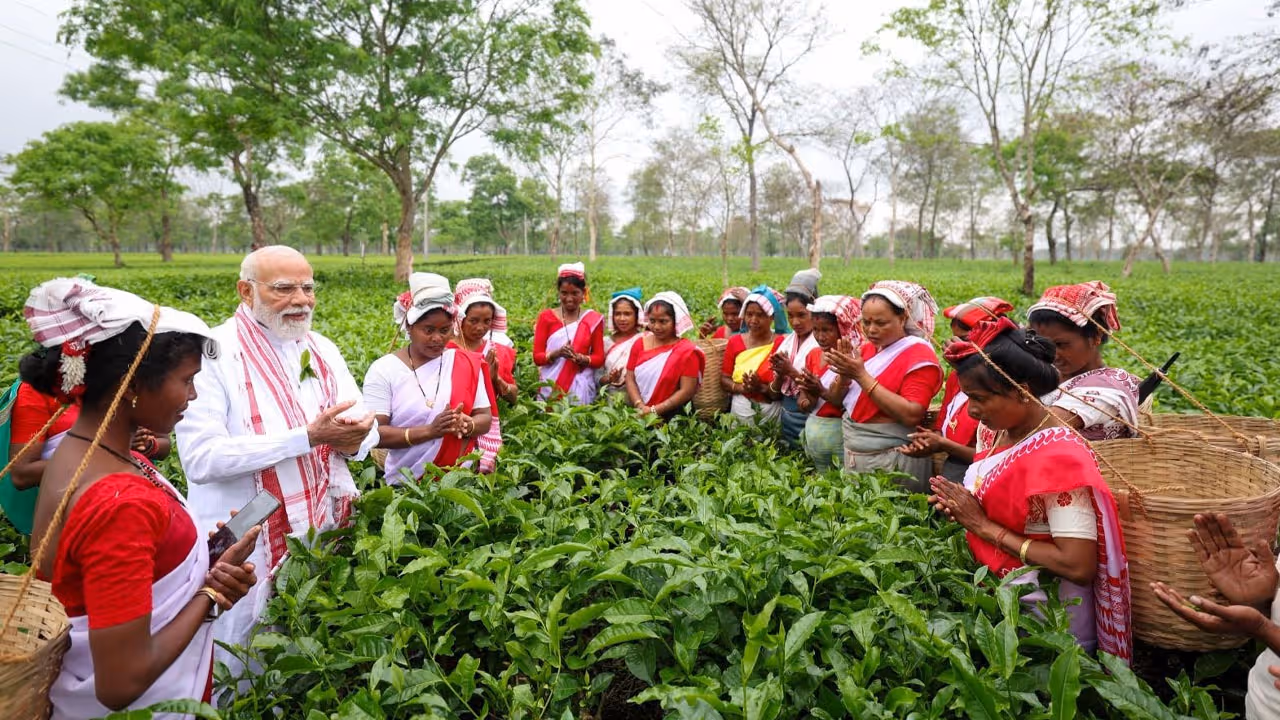 Modi Assam Visit : తేయాకు తోటల్లో ప్రధాని మోదీ.. అస్సాం ఎన్నికల ప్రచార చిత్రం!